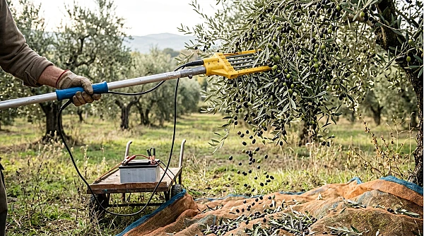 Abbacchiatore a batteria 12V: pro, contro e per chi è la scelta giusta